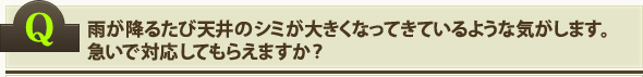 雨が降るたび天井のシミが大きくなってきているような気がします。急いで対応してもらえますか？