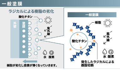 一般塗膜