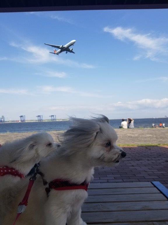 城南島海浜公園にて