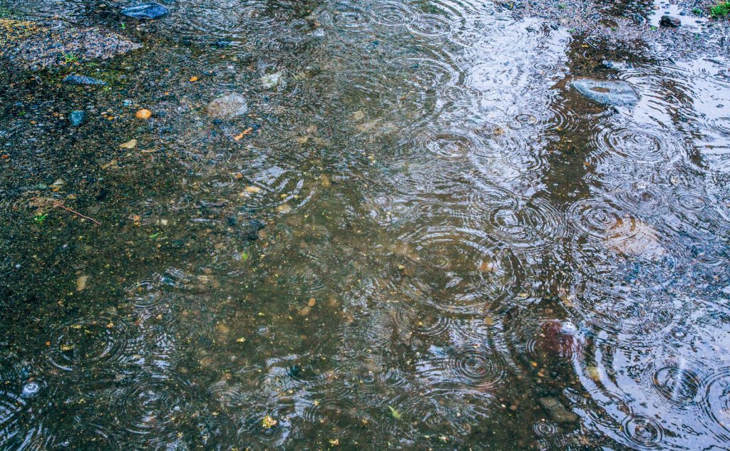 雨戸・雨どいの塗り替えはいつ行う？