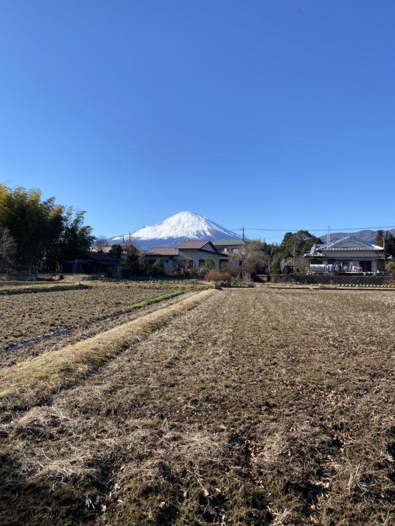 新年のご挨拶